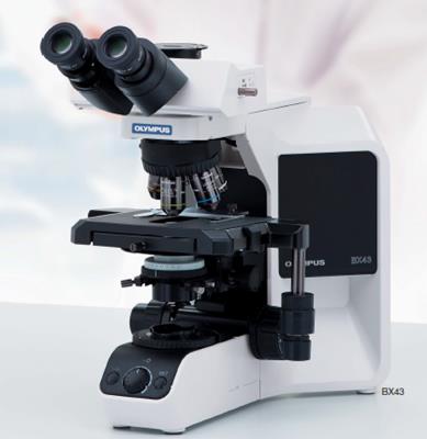 奧林巴斯生物顯微鏡BX43